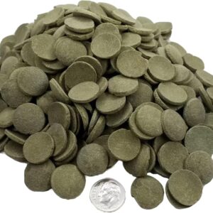 Algae wafers stacked in a pile with a United States dime used for scale.